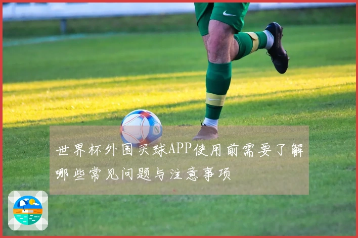 世界杯外围买球APP使用前需要了解哪些常见问题与注意事项