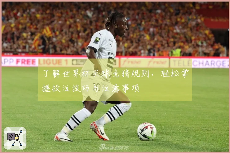 了解世界杯买球竞猜规则，轻松掌握投注技巧与注意事项